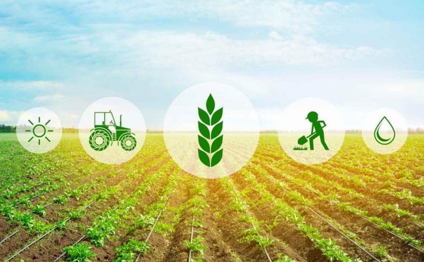 Free Agriculturist Resume Cover Letter Template